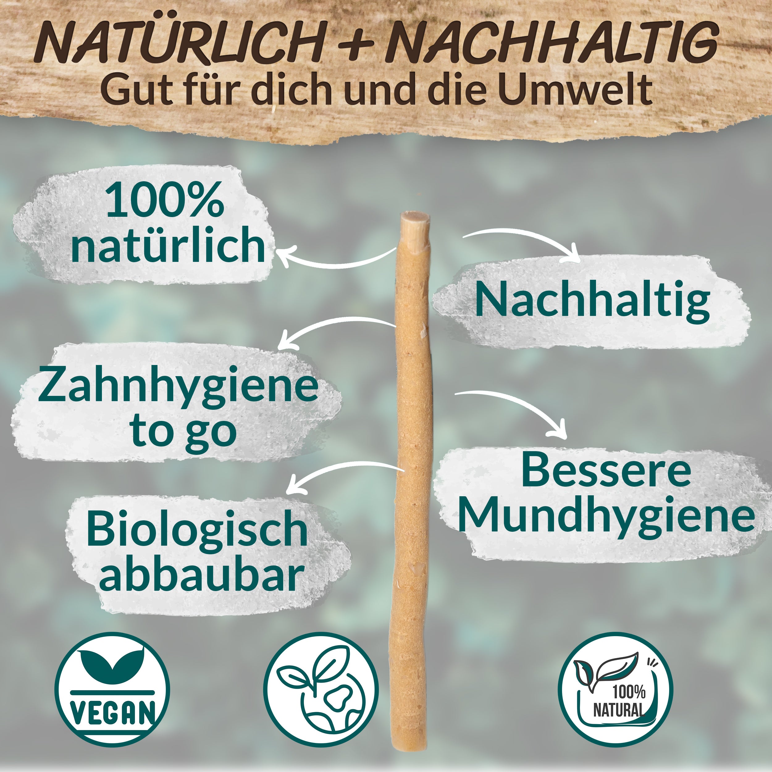 Miswak 5er Set mit Frischhaltedose – Natürliche Zahnbürste – ESVED