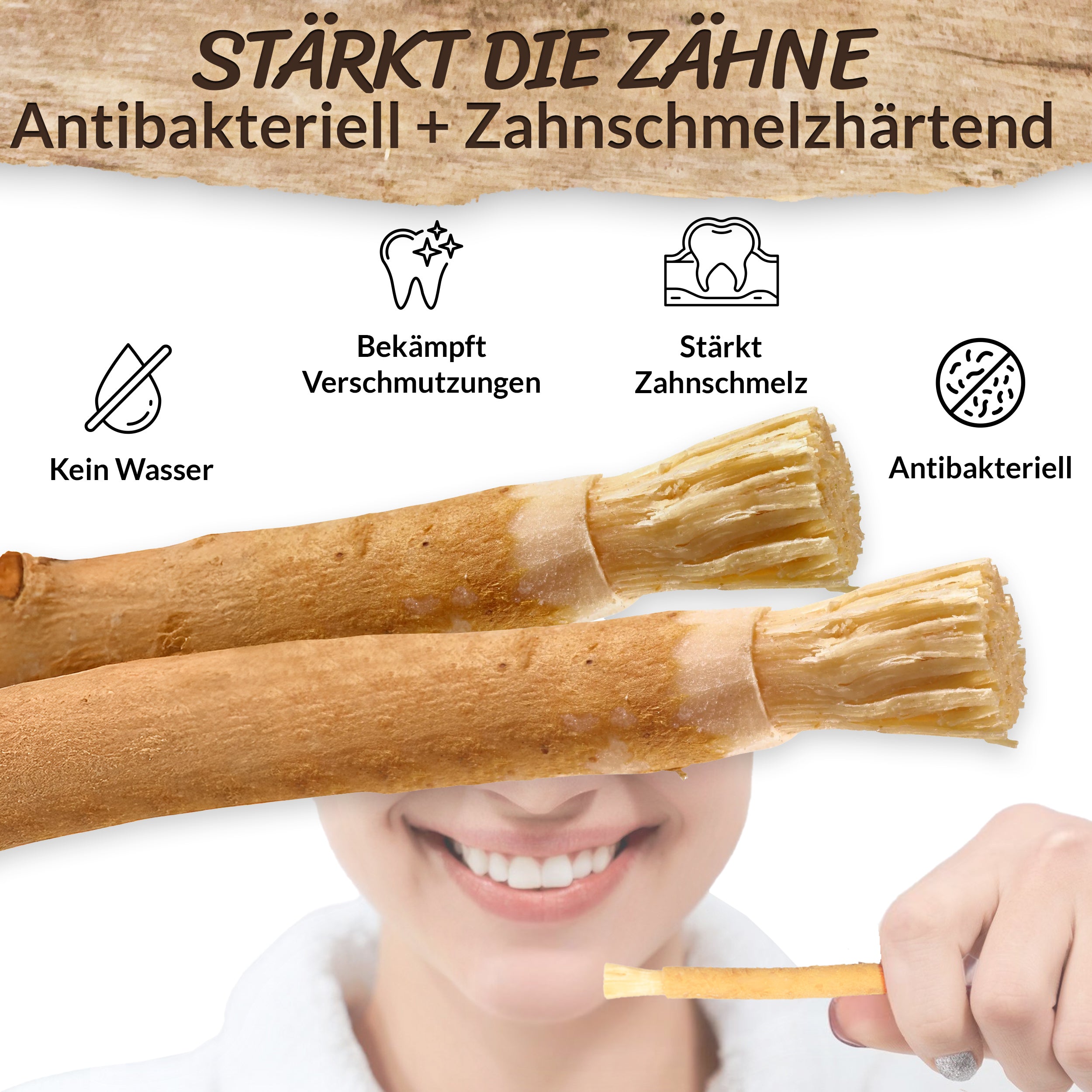 ESVED Miswak 5er Set mit Frischhaltedose - Natürliche Zahnbürste