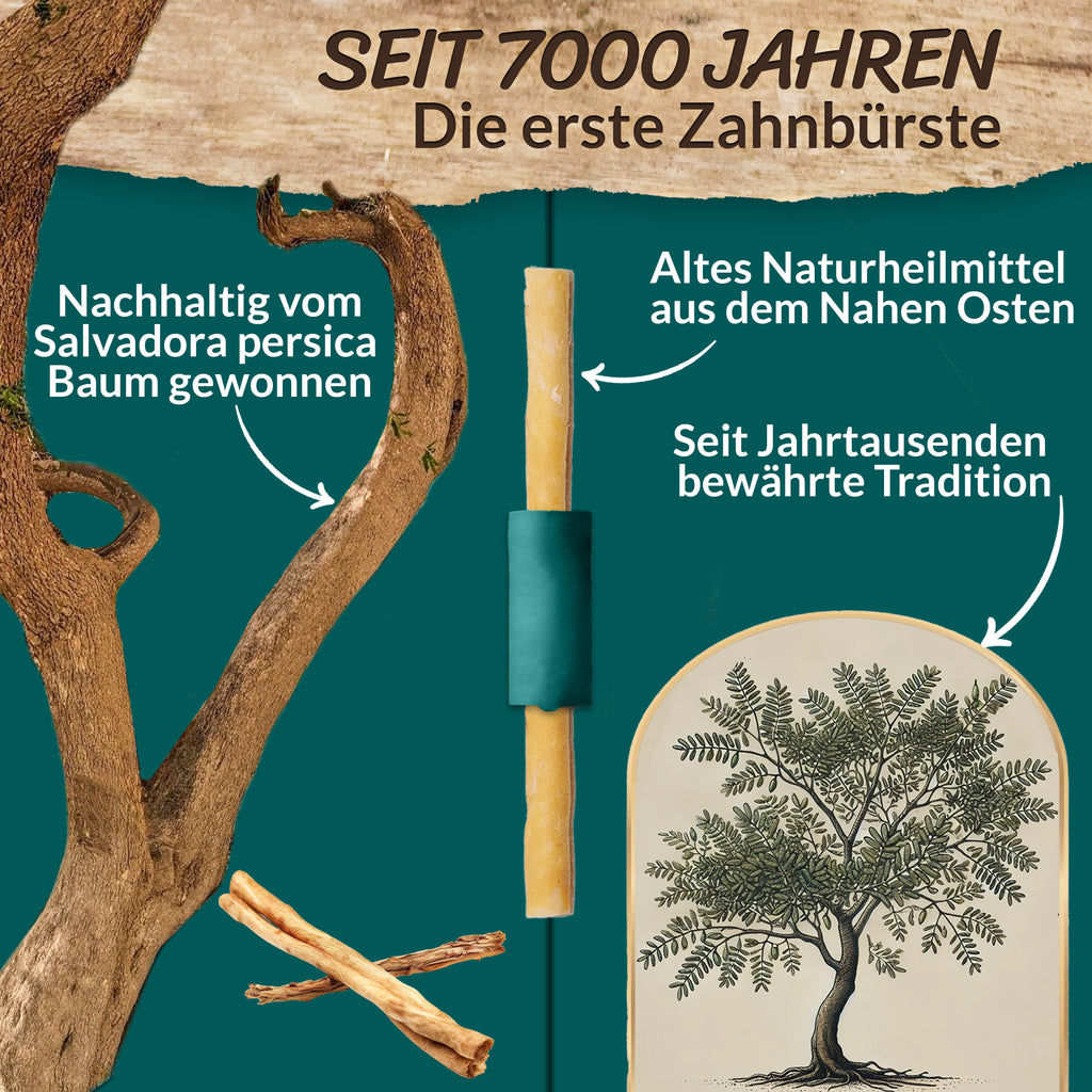 Miswak 5er Set mit Frischhaltedose – Natürliche Zahnbürste – ESVED