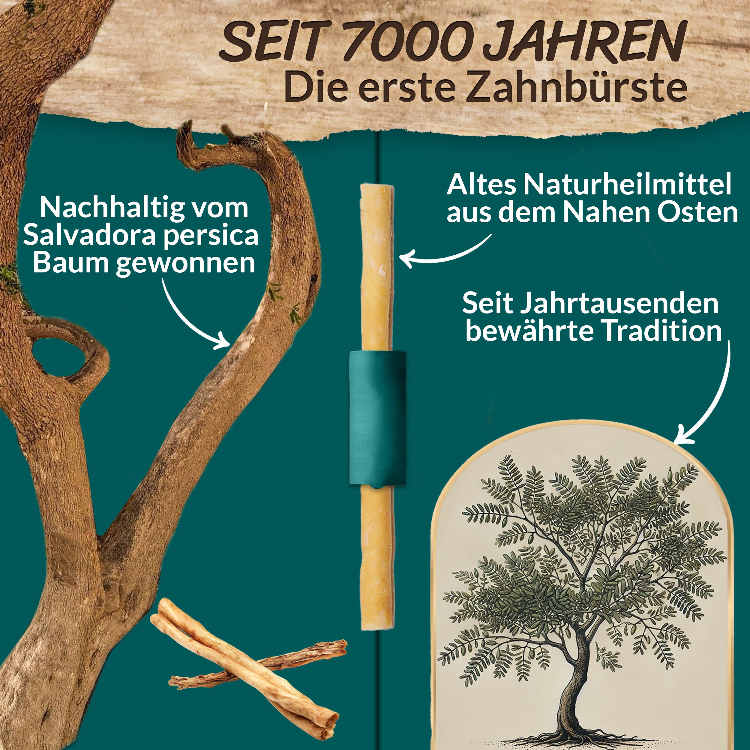 Miswak 5er Set mit Frischhaltedose – Natürliche Zahnbürste – ESVED