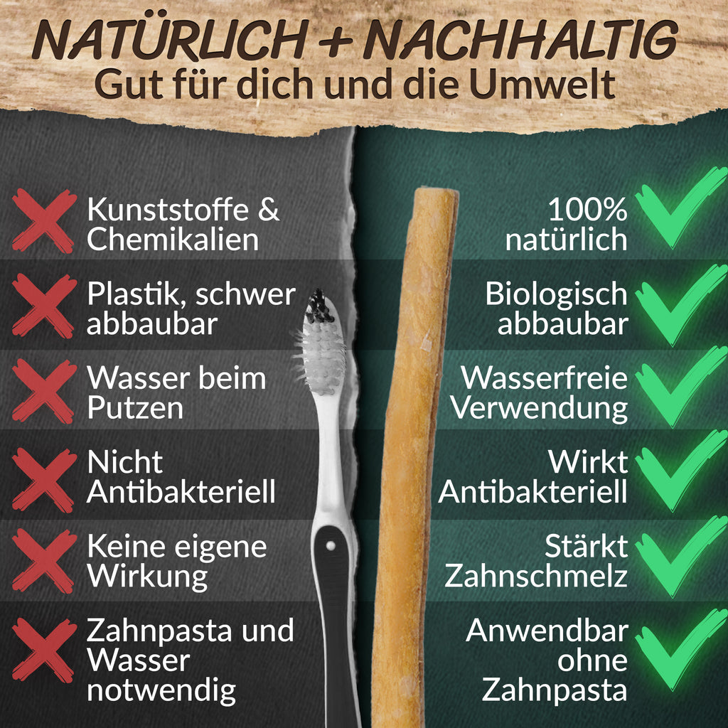 Miswak 5er Set mit Frischhaltedose – Natürliche Zahnbürste – ESVED