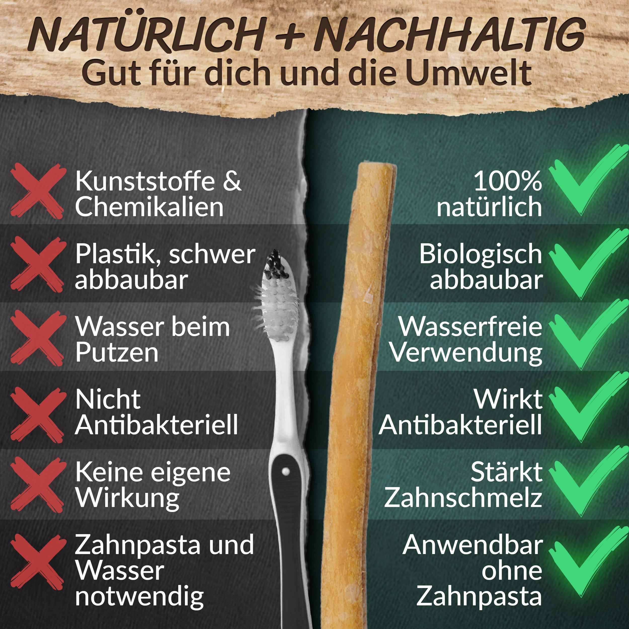 Miswak 5er Set mit Frischhaltedose – Natürliche Zahnbürste – ESVED
