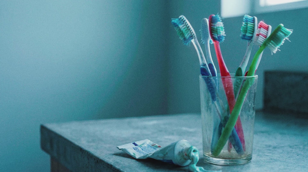 Miswak 5er Set mit Frischhaltedose – Natürliche Zahnbürste – ESVED