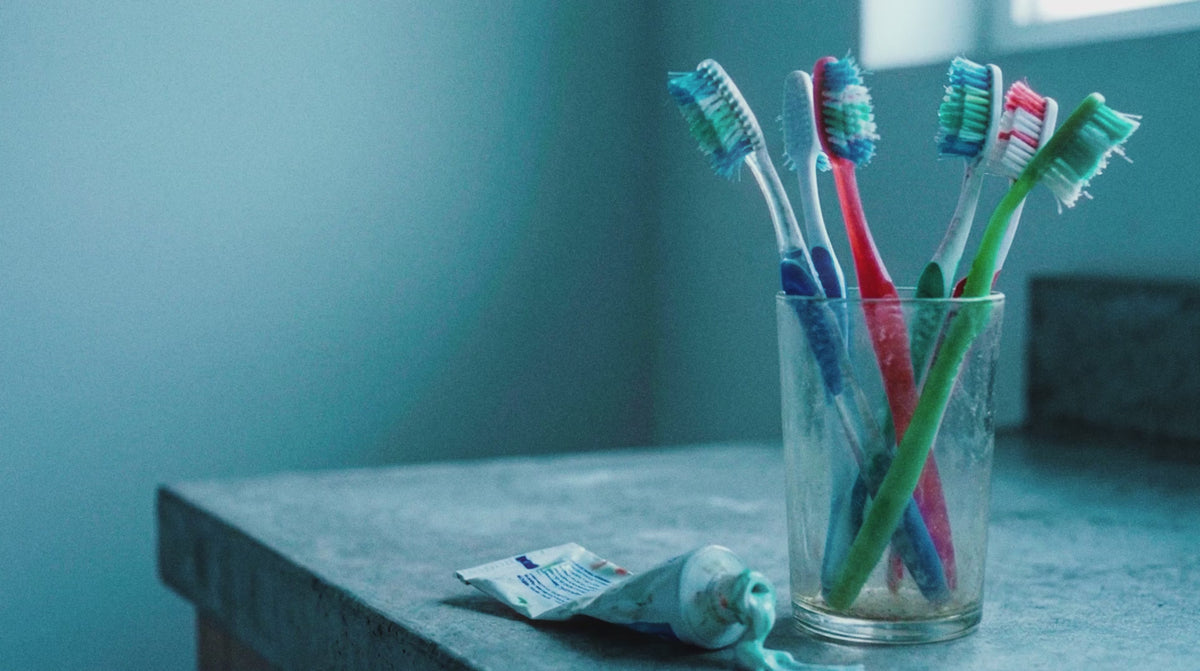 Miswak 5er Set mit Frischhaltedose – Natürliche Zahnbürste – ESVED